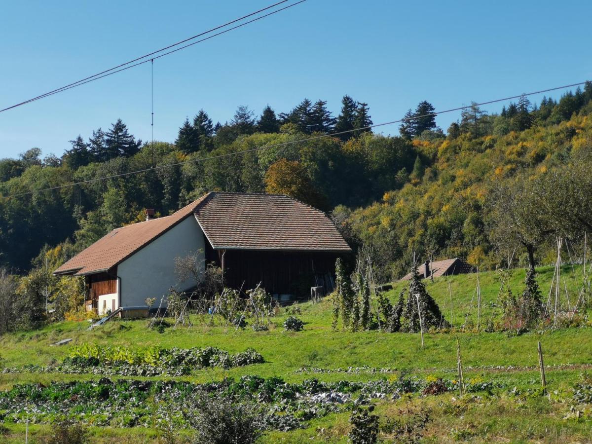 Jurastei 16 Bed and Breakfast Wiedlisbach Buitenkant foto